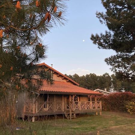 Le Gite De L'Aerogrange Biscarrosse Exterior foto