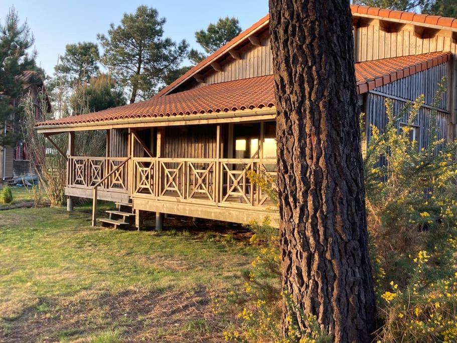 Le Gite De L'Aerogrange Biscarrosse Exterior foto